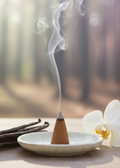 Vanilla Incense Cones | incense | Wiccan Center