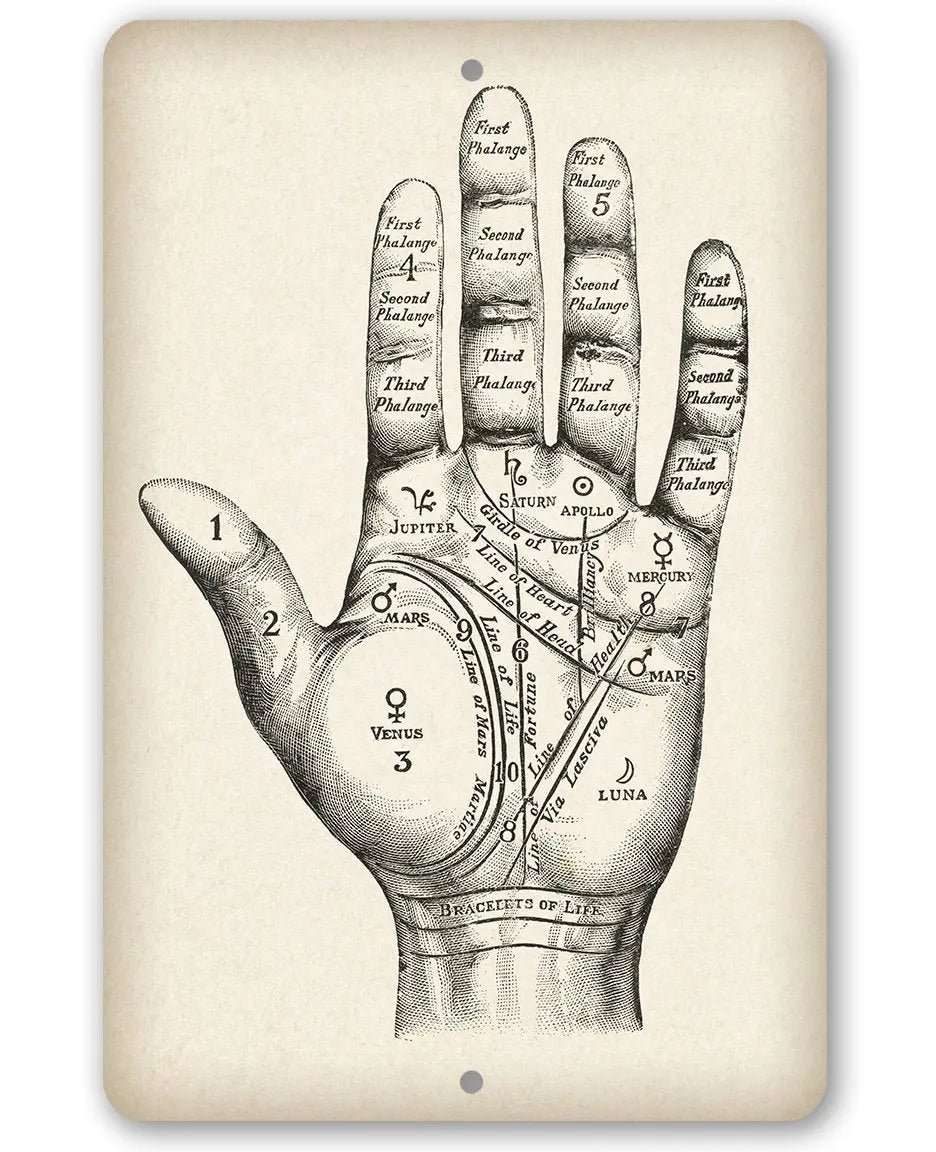 Vintage Palm Reading - Metal Sign | Metal Sign | Wiccan Center
