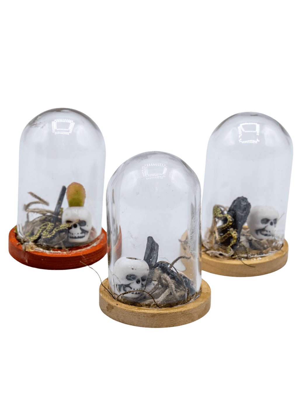 Vivianite Terrarium in Glass Dome | Crystals | Wiccan Center