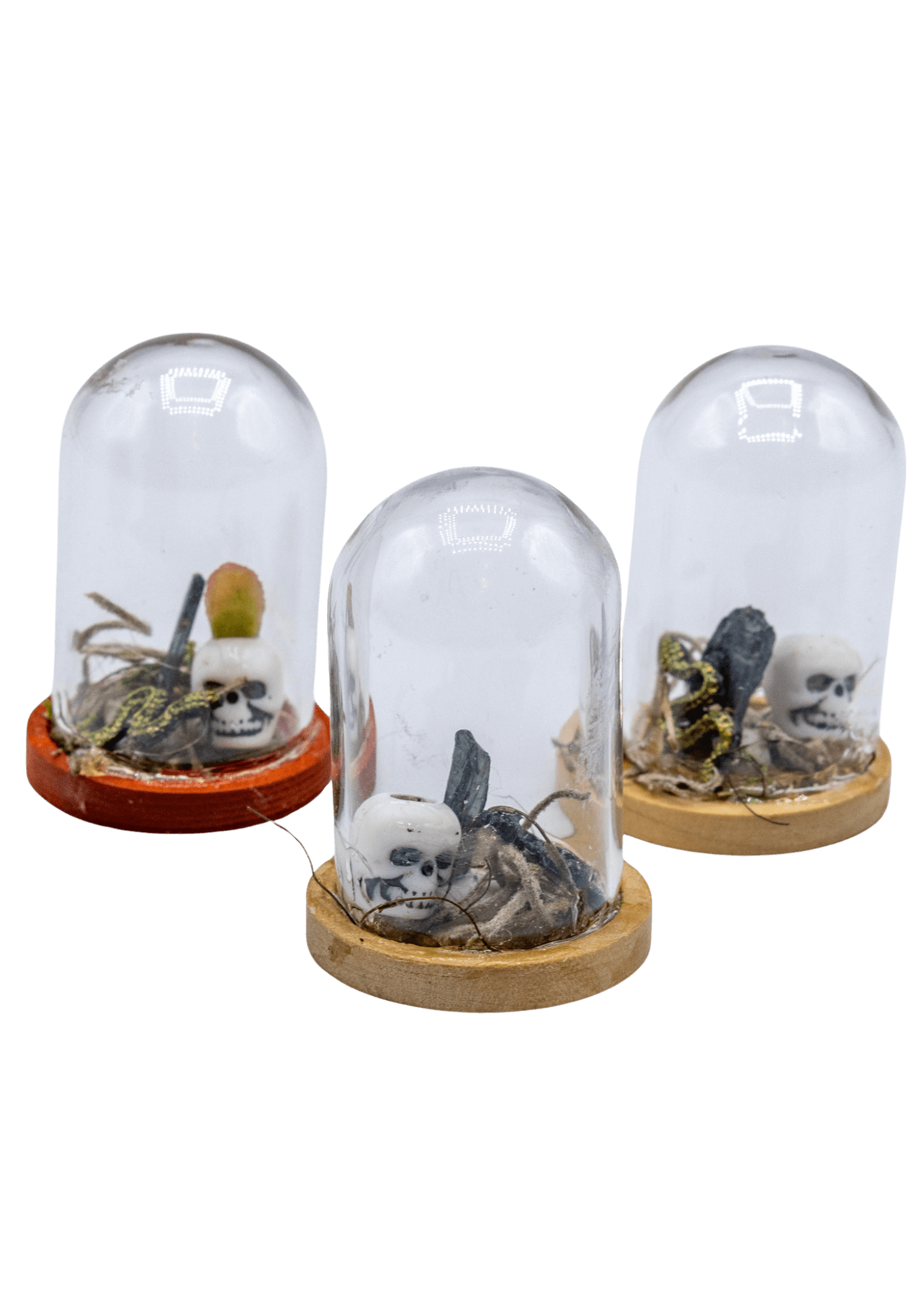 Vivianite Terrarium in Glass Dome | Crystals | Wiccan Center