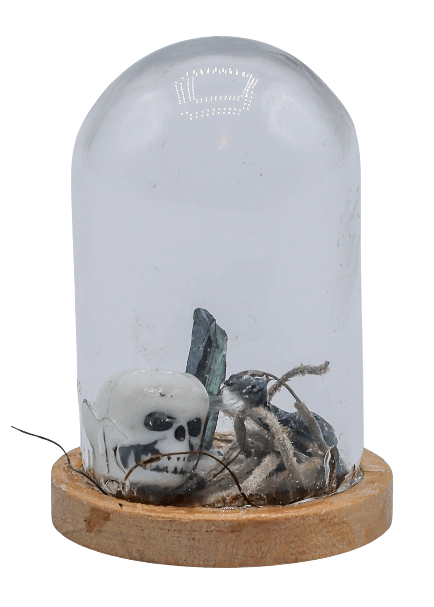Vivianite Terrarium in Glass Dome | Crystals | Wiccan Center