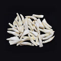 Water Buffalo Teeth | Altar supplies | Wiccan Center