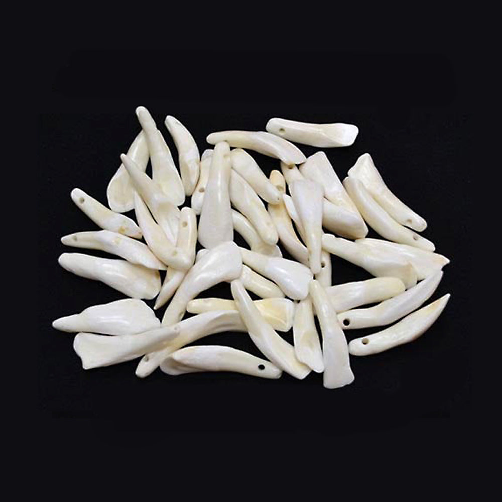 Water Buffalo Teeth | Altar supplies | Wiccan Center