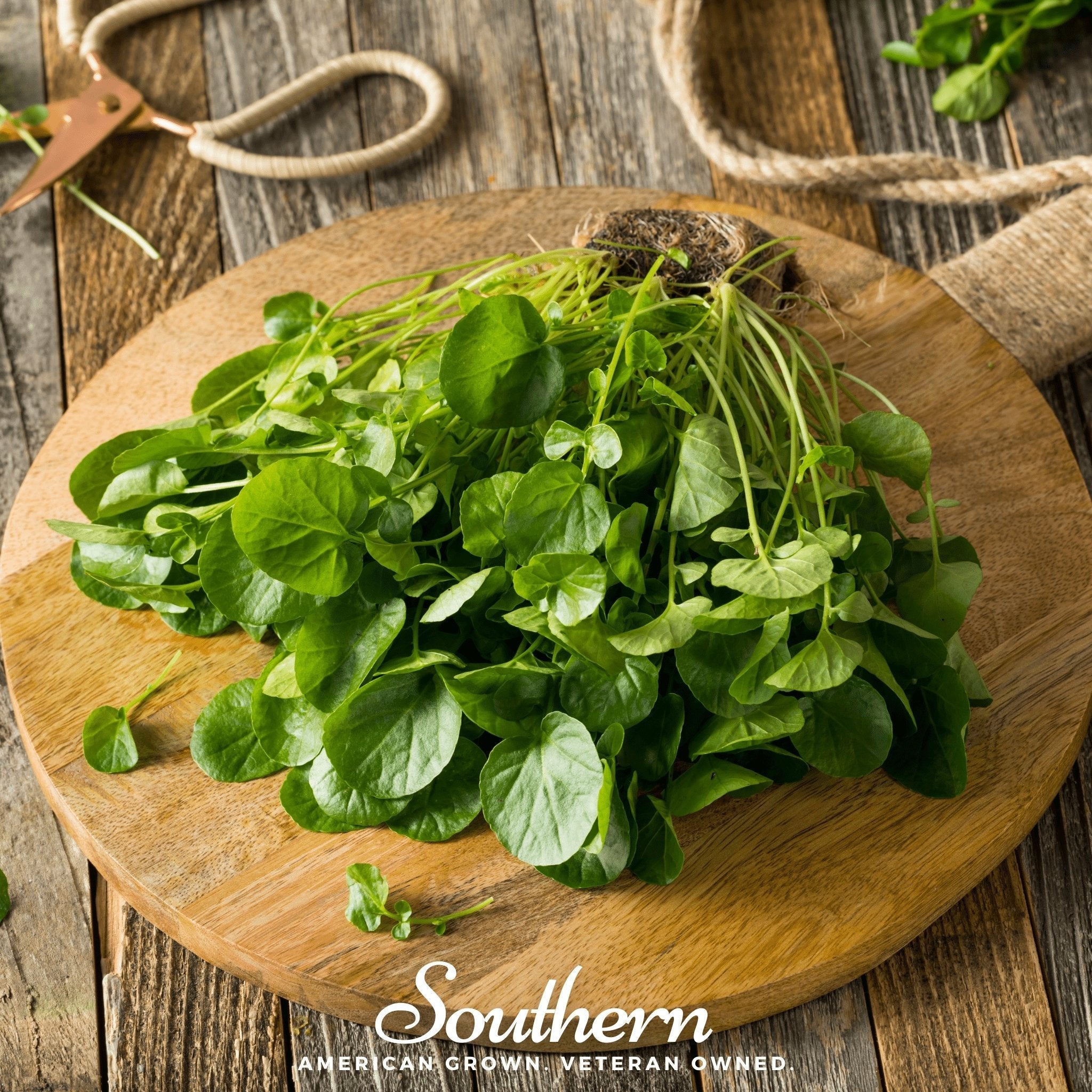 Watercress – 200 Seeds | Seeds | Wiccan Center