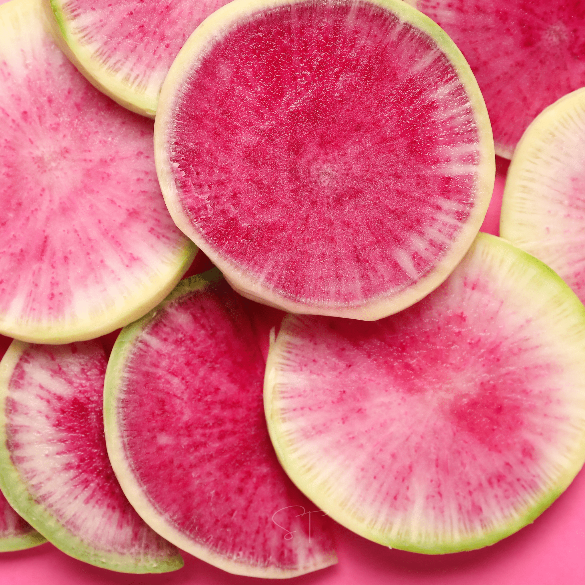 Watermelon Radish – 50 Seeds | Seeds | Wiccan Center