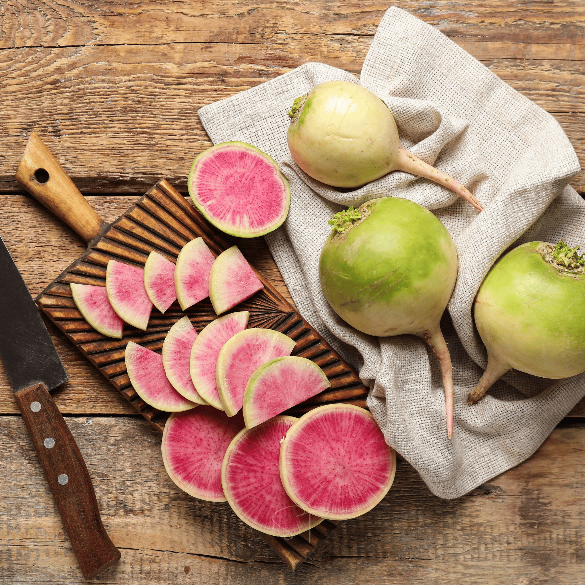 Watermelon Radish – 50 Seeds | Seeds | Wiccan Center