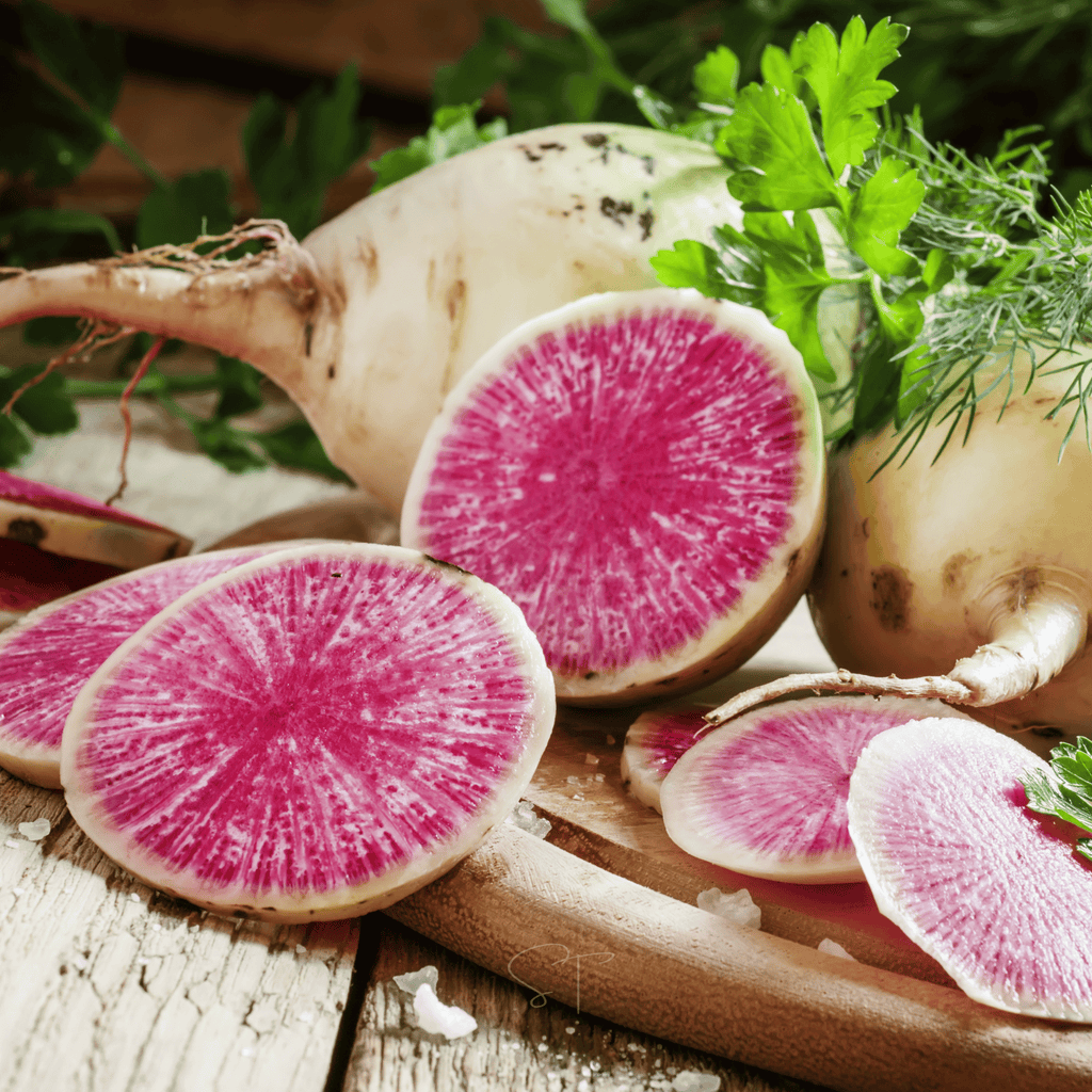 Watermelon Radish – 50 Seeds | Seeds | Wiccan Center