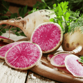 Watermelon Radish – 50 Seeds | Seeds | Wiccan Center