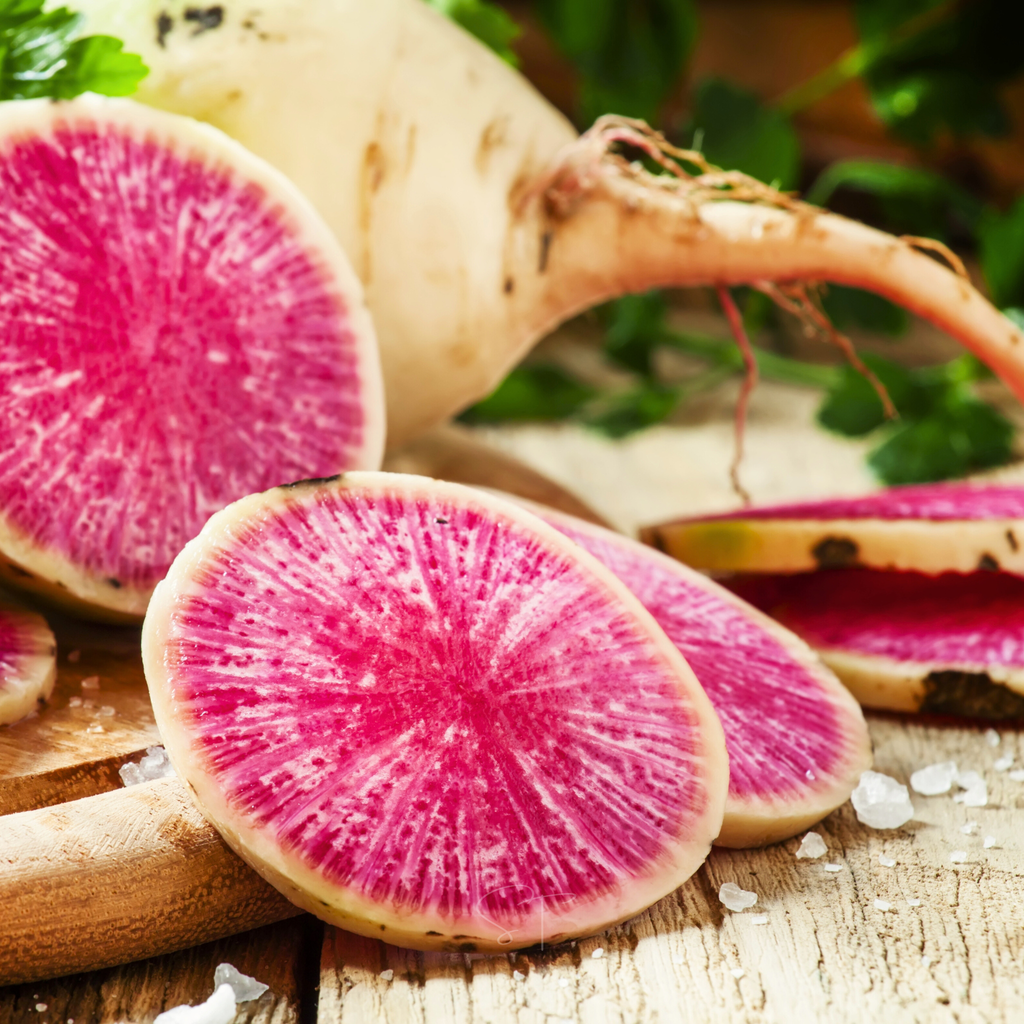 Watermelon Radish – 50 Seeds | Seeds | Wiccan Center