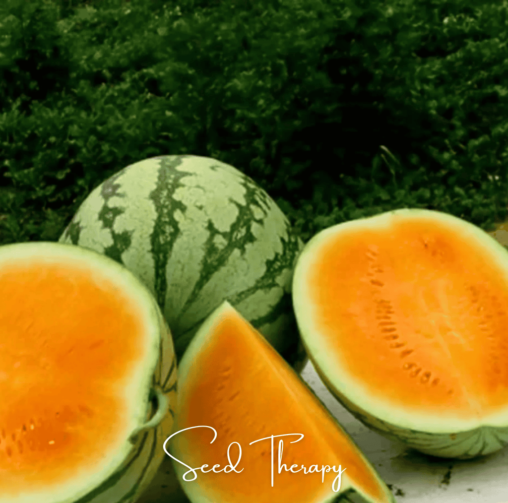 Tendersweet Orange Watermelon – 25 Seeds | Seeds | Wiccan Center