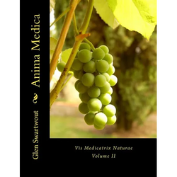 Anima Medica: Vis Medicatrix Naturae - Paperback | Books | Wiccan Center
