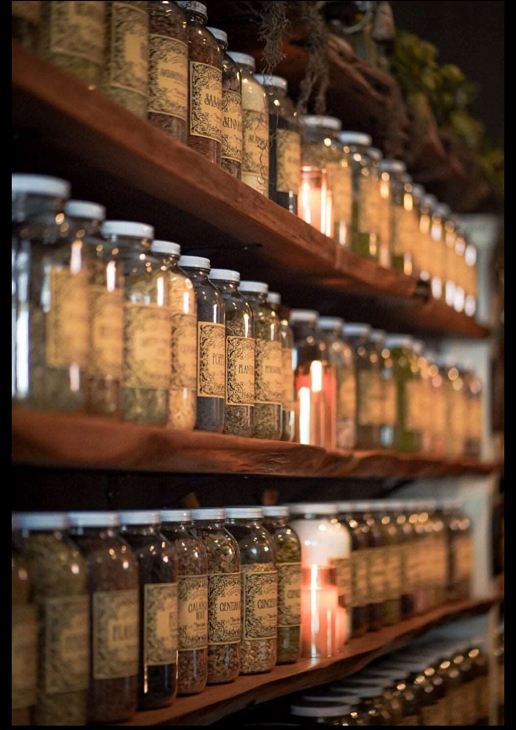 BuckEye | | Wiccan Center