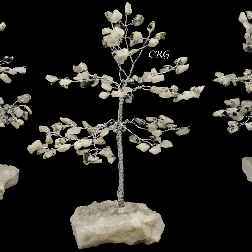 White Rainbow Moonstone 100 Chip Tree with Cut Cluster Base (1 Piece) Size 6 Inches Silver Wire Gemstone Tree