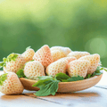 White Soul Strawberry – 100 Seeds | Seeds | Wiccan Center