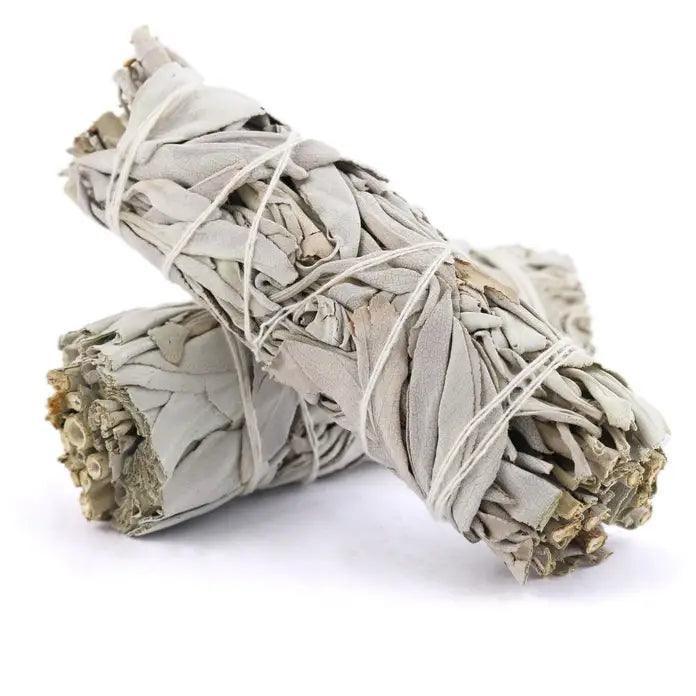 California White Sage