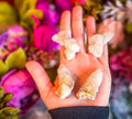 Spirit Quartz Points, Cactus Quartz Clusters, You Choose Size | | Wiccan Center
