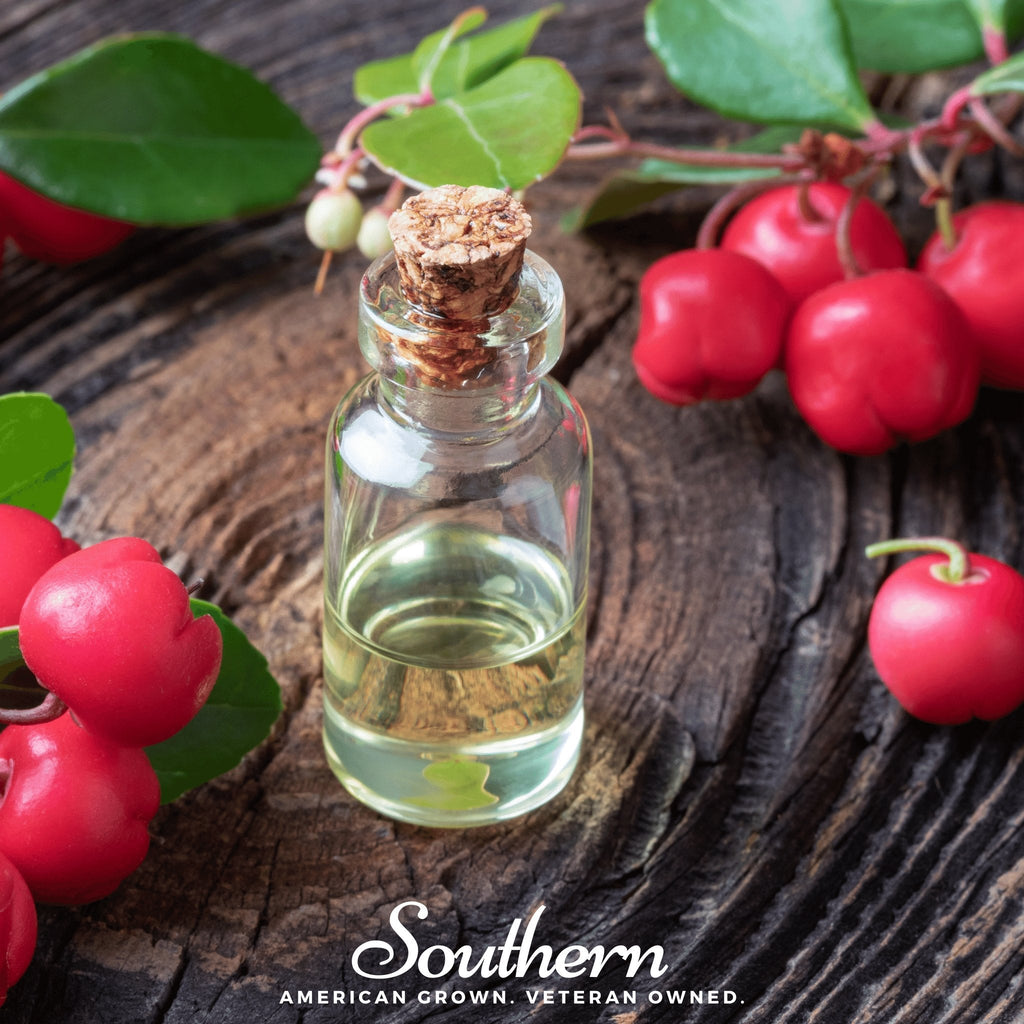 Wintergreen (Teaberry) – 20 Seeds | Seeds | Wiccan Center