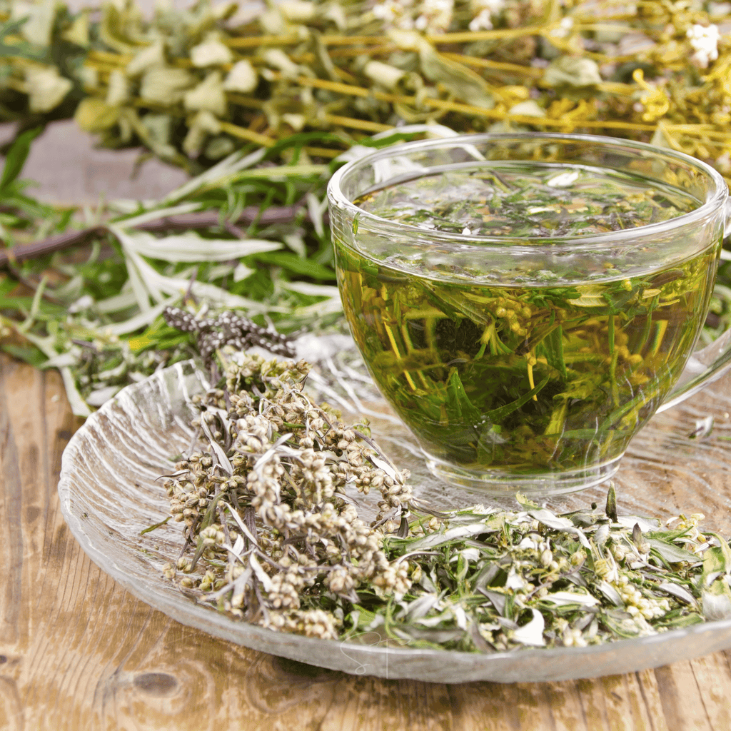 Wormwood – 200 Seeds | Seeds | Wiccan Center