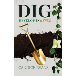 Dig: Develop In Grace - Hardcover | Books | Wiccan Center