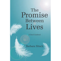The Promise Between Lives: A Soul Contract - Paperback | Books | Wiccan Center