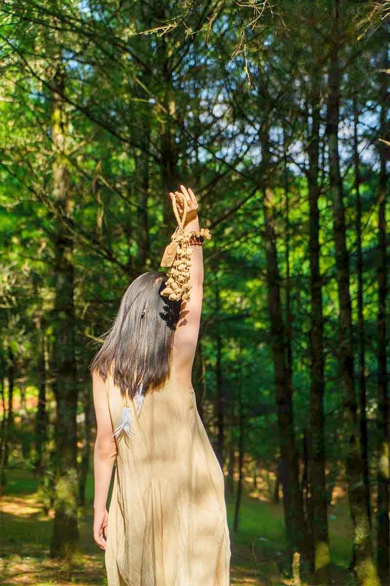 Chacha Oleander Seed Shaker | Hand Bell | Seed Shaker | Wiccan Center