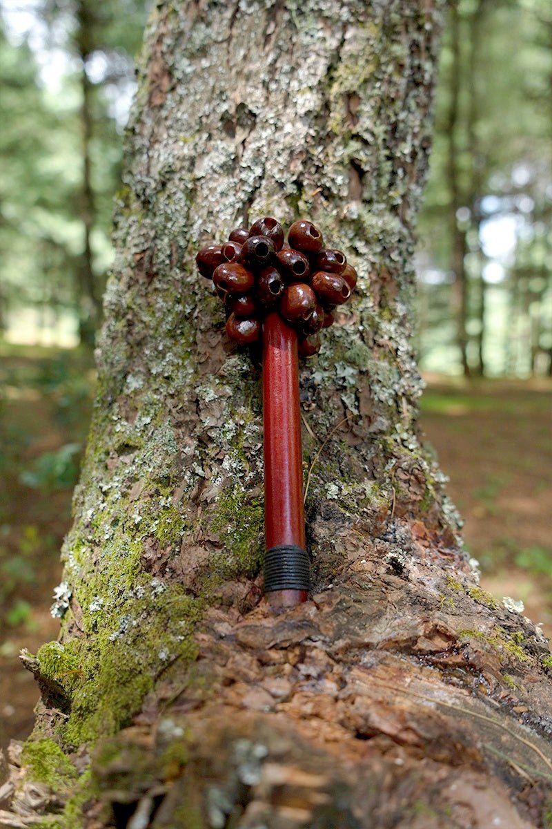 Pala Seed Pod Wooden Handle Shaker