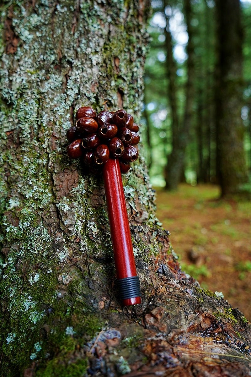 Pala Seed Pod Wooden Handle Shaker