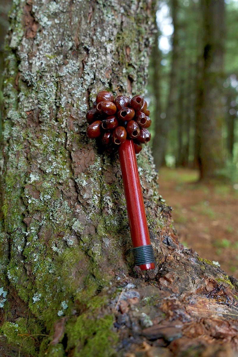 Pala Seed Pod Wooden Handle Shaker