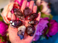 Raw Amethyst with Hematite Inclusions from Zimbabwe, Shangaan Amethyst | | Wiccan Center